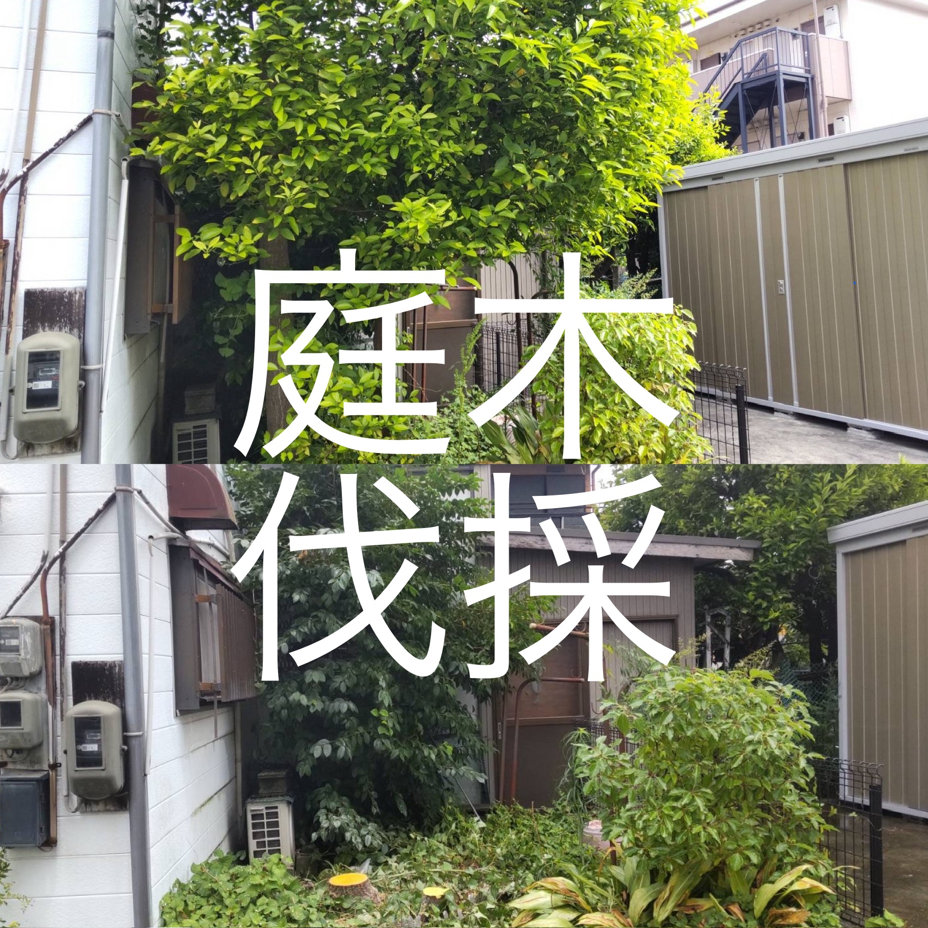 日進市　S様邸　庭木伐採施工