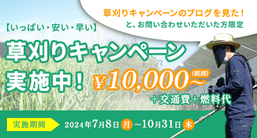 【いっぱい・安い・早い】質より量を優先！草刈りキャンペーン実施中！