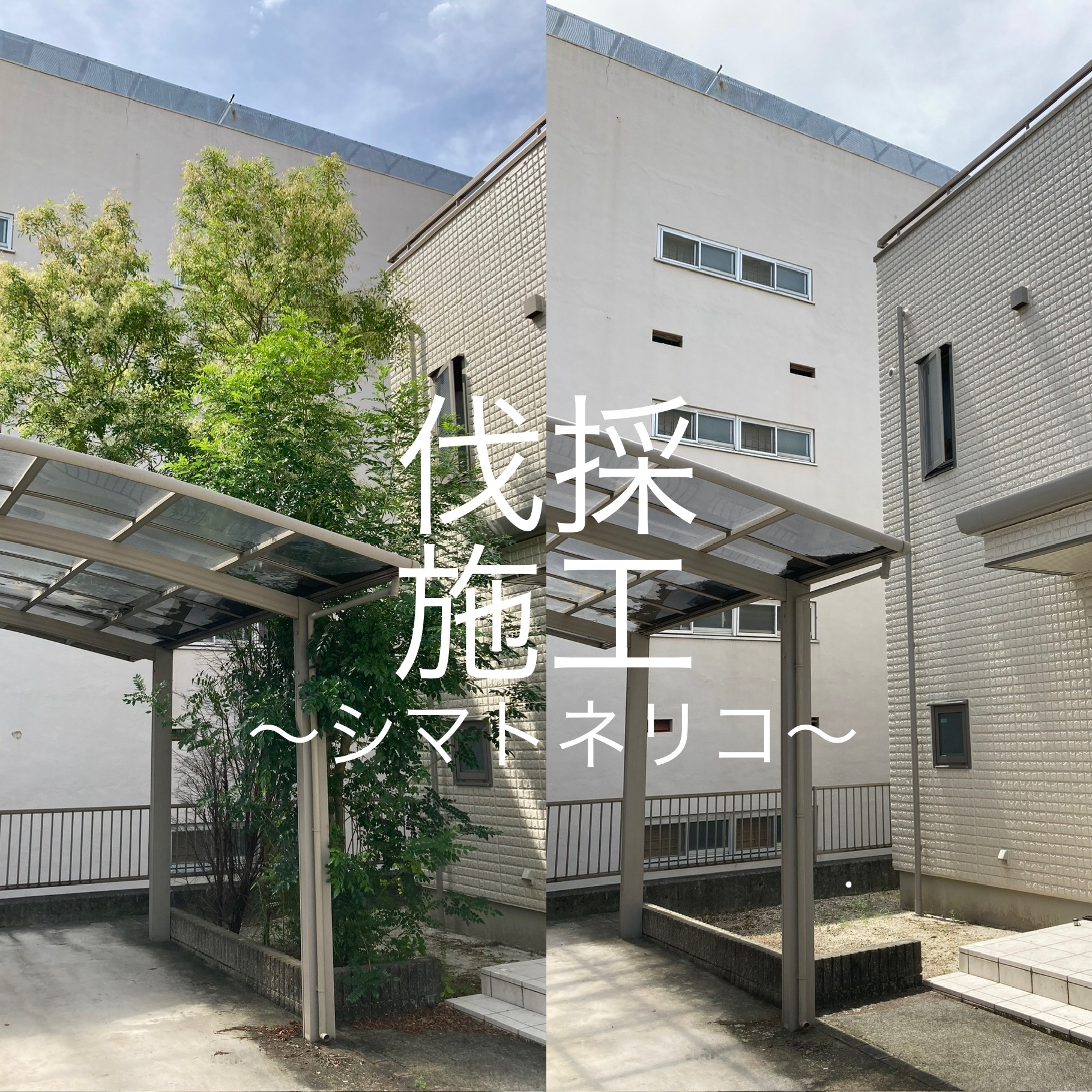 東郷町　K様邸　庭木伐採