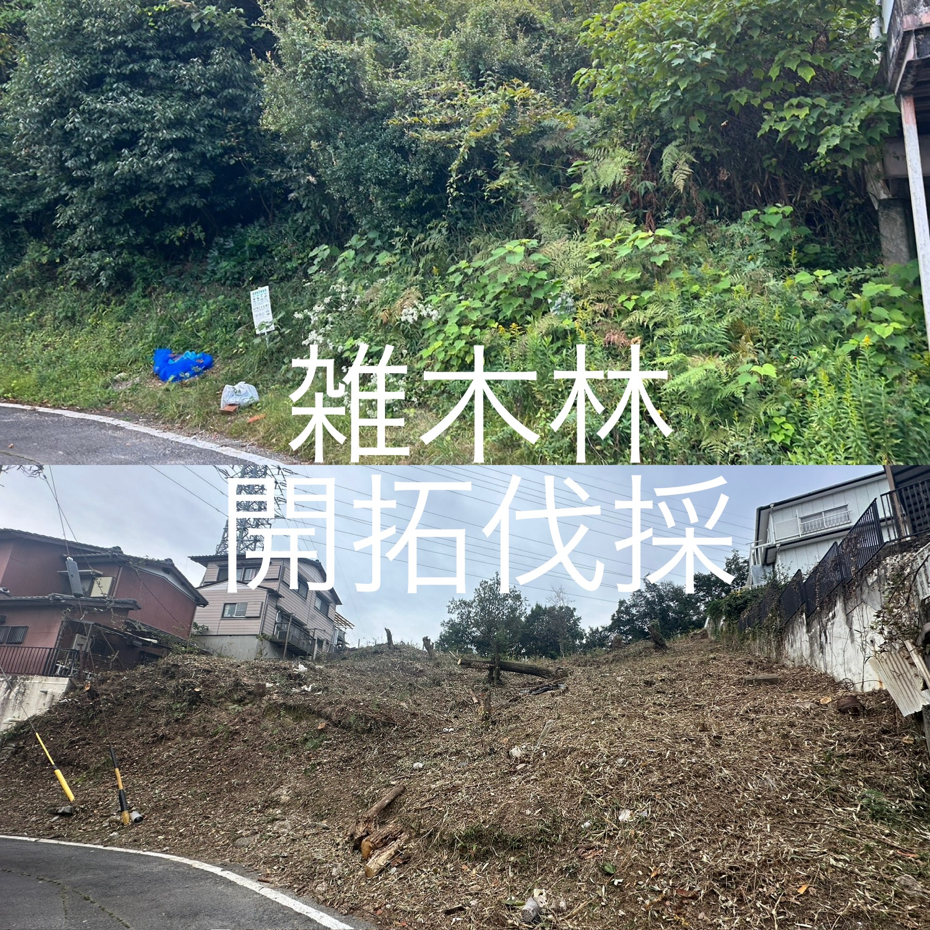 みよし市　雑木林開拓伐採